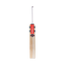 Gray Nicolls Neocore 500 Adult Cricket Bat 2025