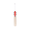 Gray Nicolls Classic Academy Junior Cricket Bat 2025