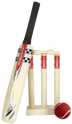 Gray Nicolls Mini Game International