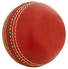 Gray Nicolls Mini Ball