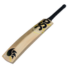 X Lite 4.0 DSC Cricket Bat 2024