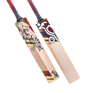 BEAST 3.1 Junior Cricket Bat