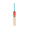 Gray Nicolls Gem Gen 2.0 300 2024