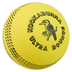 Kookaburra Ultra Bounce Ball