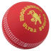 Kookaburra Ultra Bounce Ball