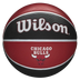 Wilson NBA Team Tribute Basketball