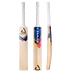 Chase R11 Vortex Adult Cricket Bat 2024