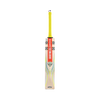 Gray Nicolls Tempesta 1.0 4 Star 2024