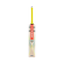 Gray Nicolls Tempesta 1.0 4 Star 2024