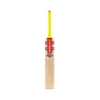 Gray Nicolls Tempesta 1.0 300 2024