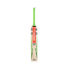 Gray Nicolls Shockwave 2.3 300 2024