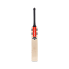 Gray Nicolls Shockwave 2.0 200 Junior 2024