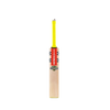 Gray Nicolls Tempesta 1.0 Academy 2024