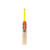 Gray Nicolls Tempesta 1.0 Academy 2024