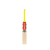 Gray Nicolls Tempesta 1.0 Cameo 2024