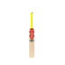 Gray Nicolls Tempesta 1.0 Cameo 2024