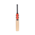 Gray Nicolls Shockwave 2.0 Power Junior 2024