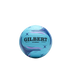 Gilbert Phoenix Netball Match Ball