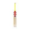 Gray Nicolls Stratos Gen 1.1 300 Junior Cricket Bat 2025