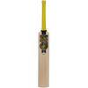 GM Psyche 404 Junior Cricket Bat 2025