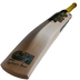 GM Psyche 404 Junior Cricket Bat 2025