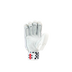 Gray Nicolls Classic Prestige Batting Gloves 2025