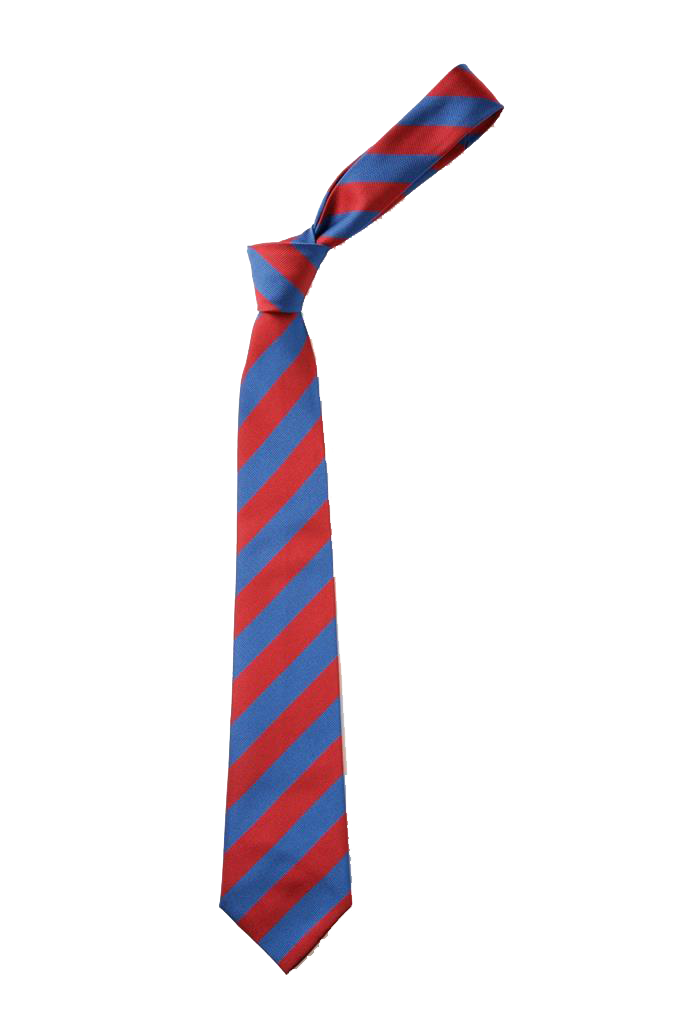 Chichester Free School Tie – Game Set & Match